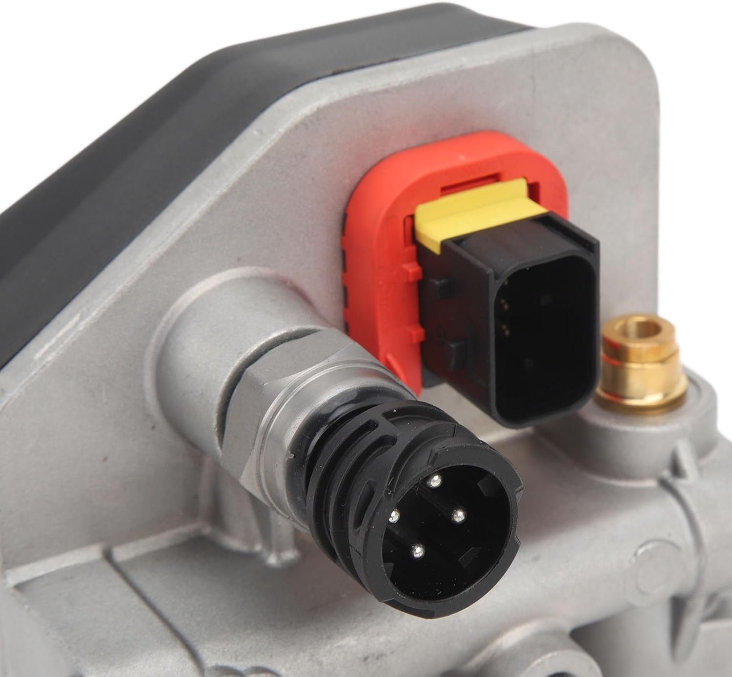 絹本彩色画 森 寛斎筆 蓬莱山之図 肉筆画 川端玉章鑑定書 極め箱有